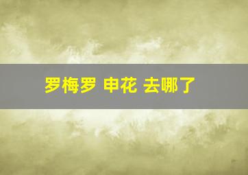 罗梅罗 申花 去哪了